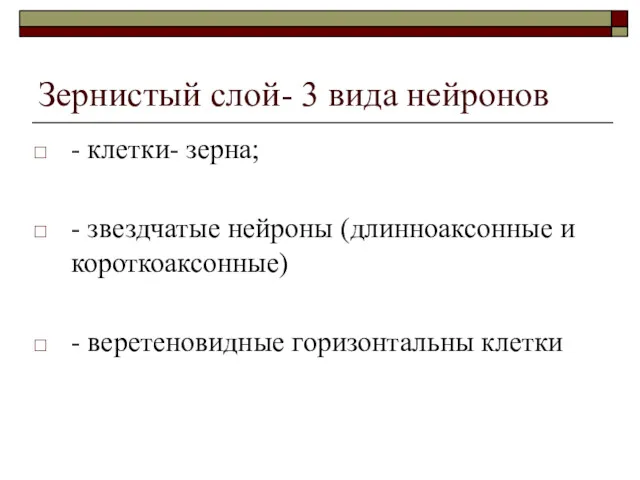 Зернистый слой- 3 вида нейронов - клетки- зерна; - звездчатые