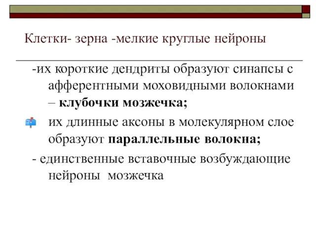 Клетки- зерна -мелкие круглые нейроны -их короткие дендриты образуют синапсы