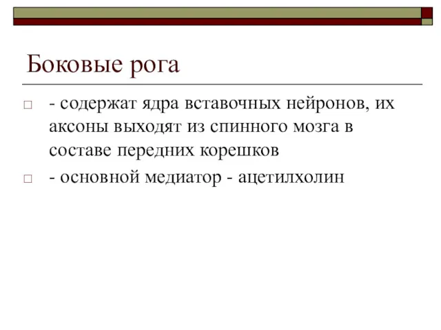 Боковые рога - содержат ядра вставочных нейронов, их аксоны выходят