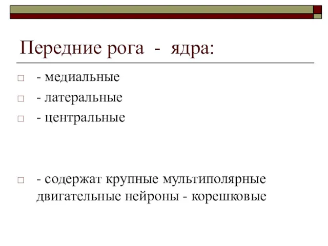 Передние рога - ядра: - медиальные - латеральные - центральные