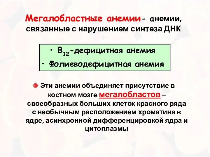 Мегалобластные анемии- анемии, связанные с нарушением синтеза ДНК Эти анемии