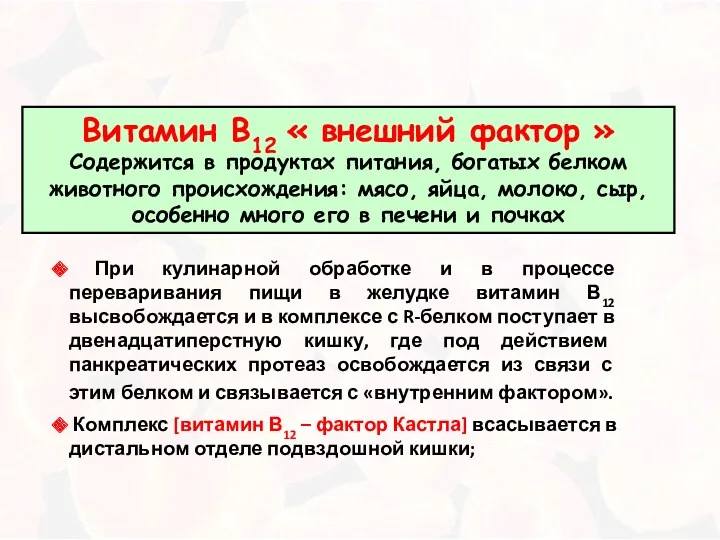 Витамин В12 « внешний фактор » Содержится в продуктах питания,