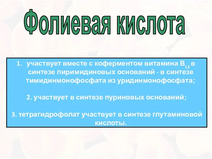 участвует вместе с коферментом витамина В12 в синтезе пиримидиновых оснований