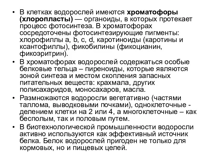 В клетках водорослей имеются хроматофоры (хлоропласты) — органоиды, в которых