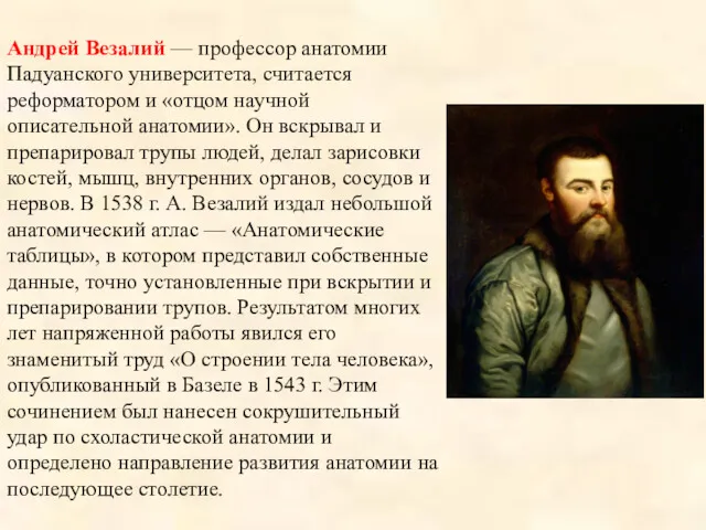 Андрей Везалий — профессор анатомии Падуанского университета, считается реформатором и