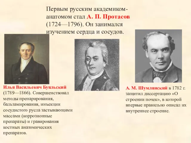 Первым русским академиком-анатомом стал А. П. Протасов (1724—1796). Он занимался