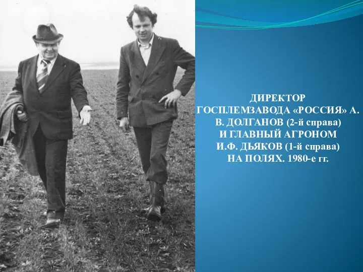 ДИРЕКТОР ГОСПЛЕМЗАВОДА «РОССИЯ» А.В. ДОЛГАНОВ (2-й справа) И ГЛАВНЫЙ АГРОНОМ И.Ф. ДЬЯКОВ (1-й