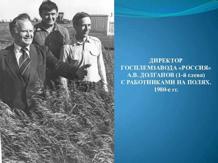 ДИРЕКТОР ГОСПЛЕМЗАВОДА «РОССИЯ» А.В. ДОЛГАНОВ (1-й слева) С РАБОТНИКАМИ НА ПОЛЯХ. 1980-е гг.