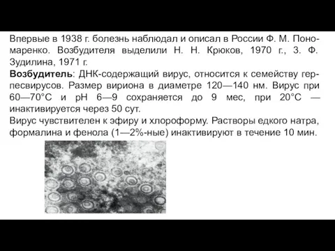 Впервые в 1938 г. болезнь наблюдал и описал в России