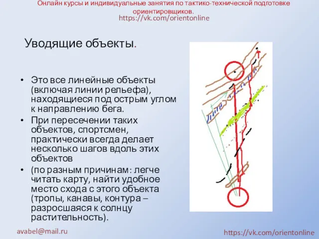 Онлайн курсы и индивидуальные занятия по тактико-технической подготовке ориентировщиков. Это