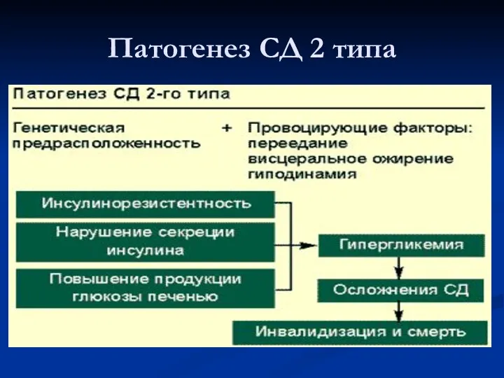 Патогенез СД 2 типа