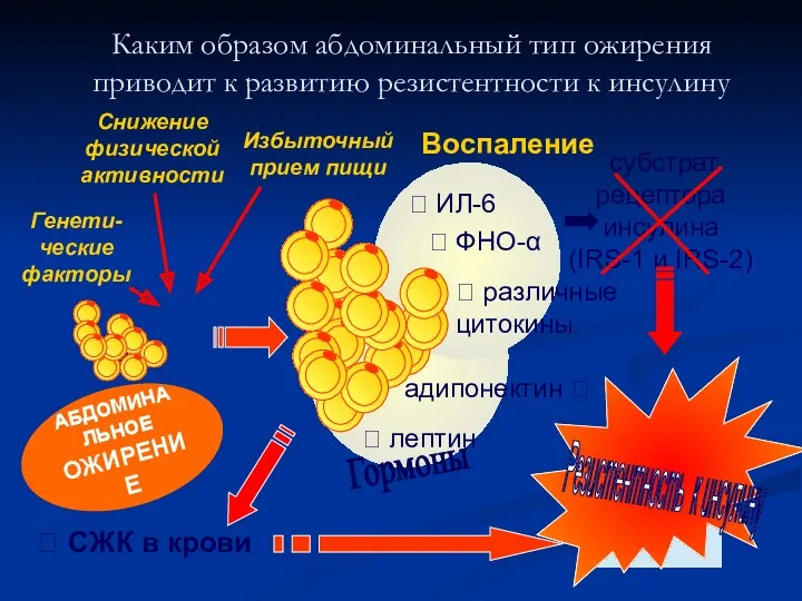 Снижение физической активности Избыточный прием пищи Генети- ческие факторы АБДОМИНАЛЬНОЕ