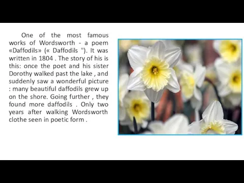 One of the most famous works of Wordsworth - a poem «Daffodils» («