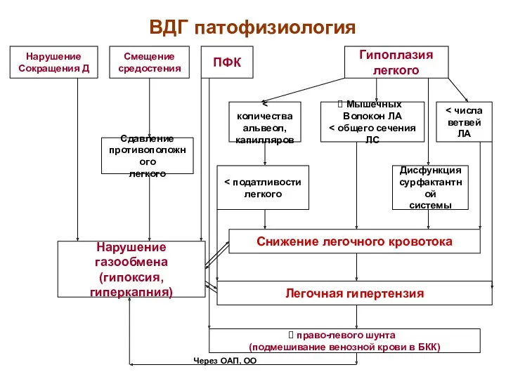 ВДГ патофизиология Нарушение Сокращения Д Смещение средостения ПФК Гипоплазия легкого Сдавление противоположного легкого