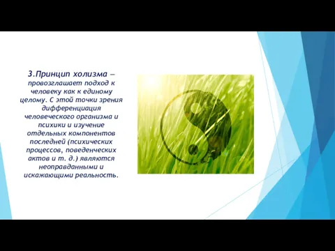 3.Принцип холизма — провозглашает подход к человеку как к единому