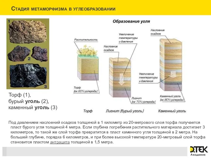 Торф (1), бурый уголь (2), каменный уголь (3) Под давлением