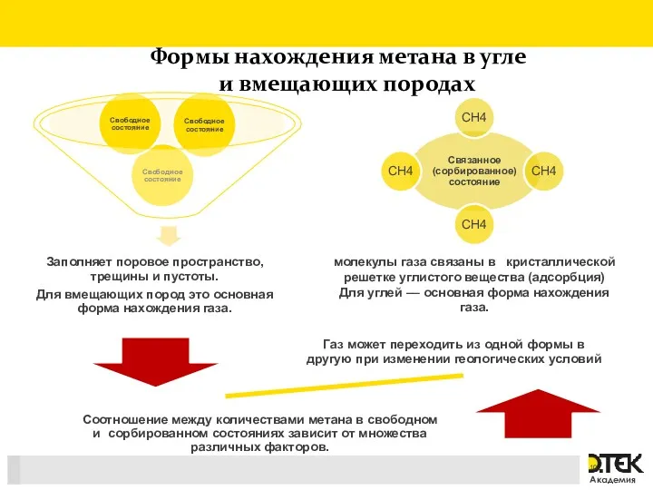 Формы нахождения метана в угле и вмещающих породах молекулы газа