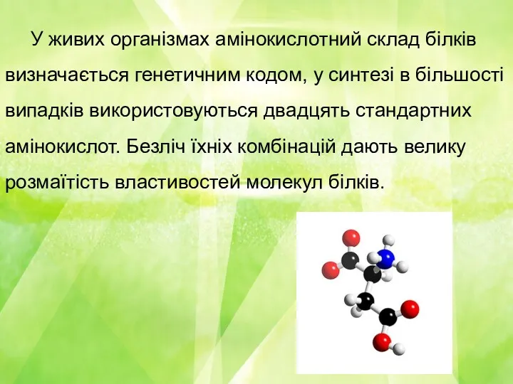 У живих організмах амінокислотний склад білків визначається генетичним кодом, у