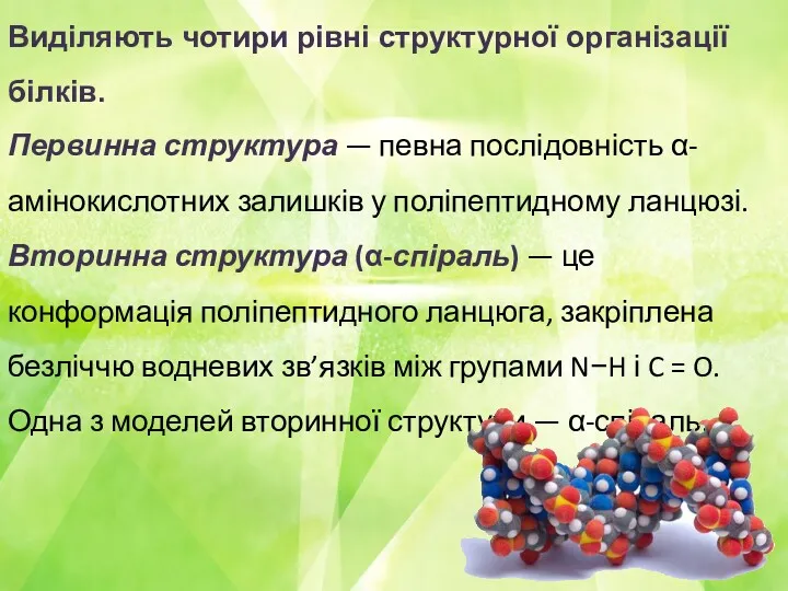 Виділяють чотири рівні структурної організації білків. Первинна структура — певна