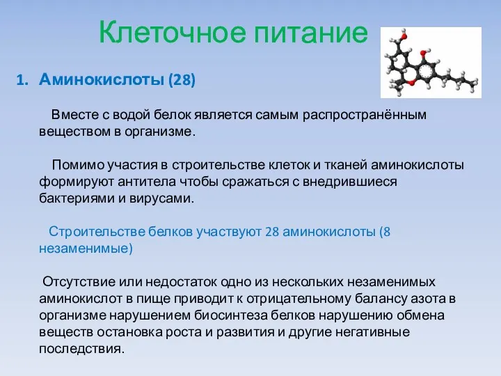 Клеточное питание Аминокислоты (28) Вместе с водой белок является самым