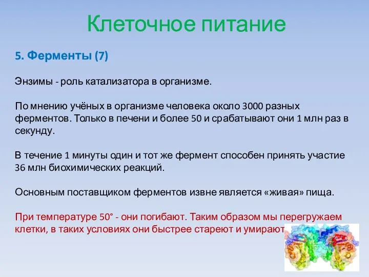 Клеточное питание 5. Ферменты (7) Энзимы - роль катализатора в