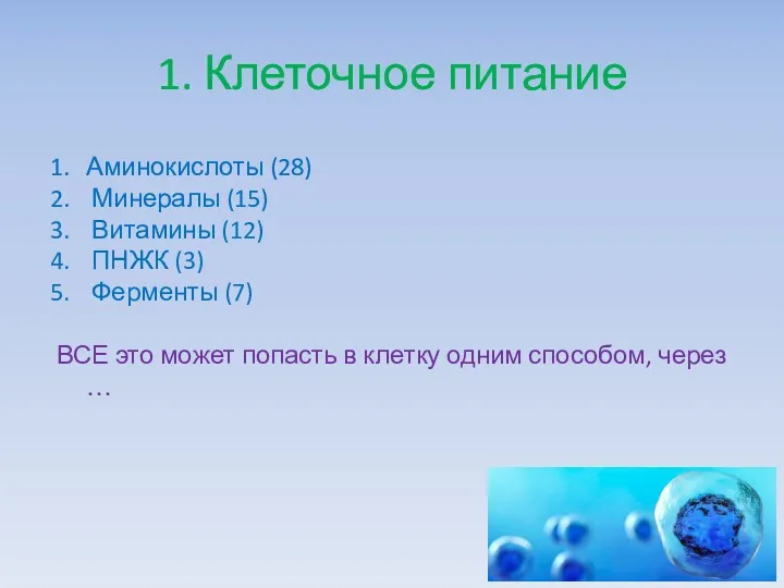 1. Клеточное питание Аминокислоты (28) Минералы (15) Витамины (12) ПНЖК