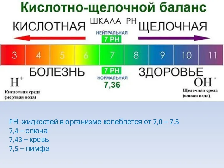 PН жидкостей в организме колеблется от 7,0 – 7,5 7,4