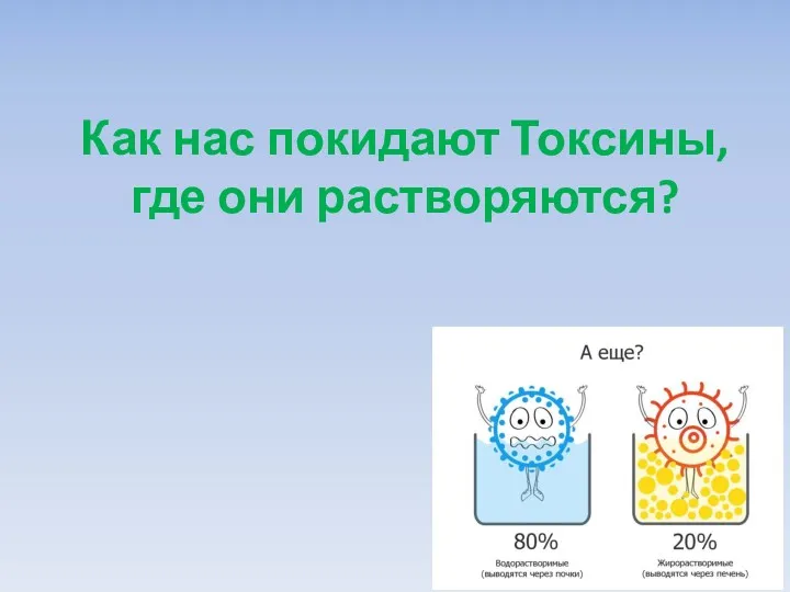 Как нас покидают Токсины, где они растворяются?