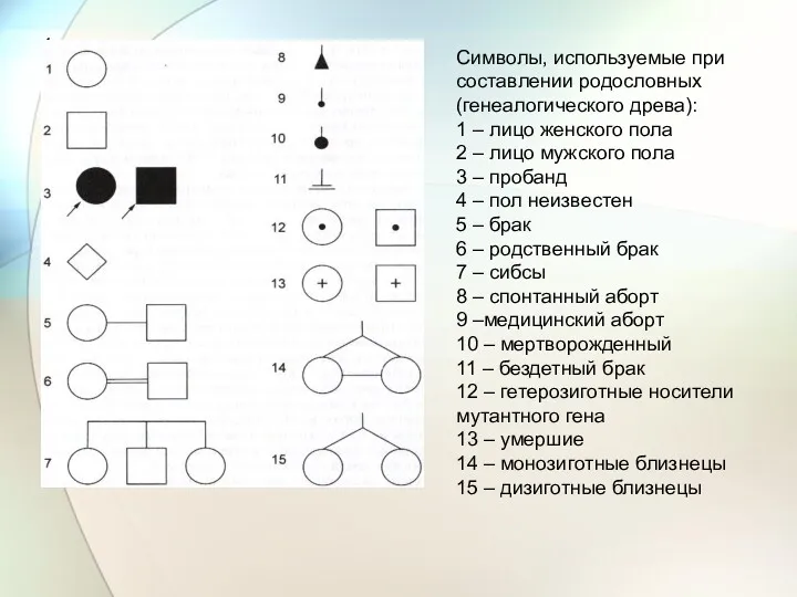 1 Символы, используемые при составлении родословных (генеалогического древа): 1 –