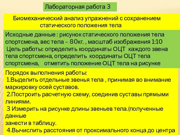 Лабораторная работа 3 Биомеханический анализ упражнений с сохранением статического положения