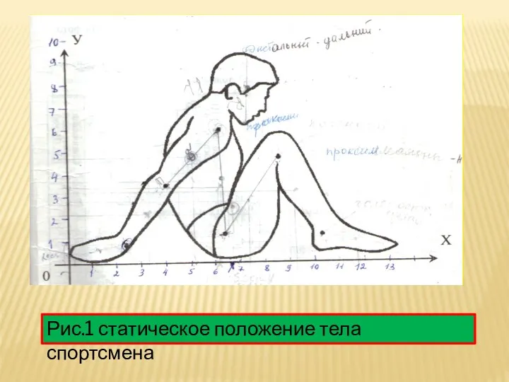 Рис.1 статическое положение тела спортсмена