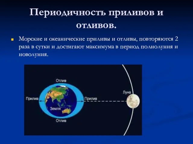 Периодичность приливов и отливов. Морские и океанические приливы и отливы,