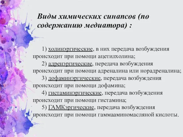 Виды химических синапсов (по содержанию медиатора) : 1) холинэргические, в