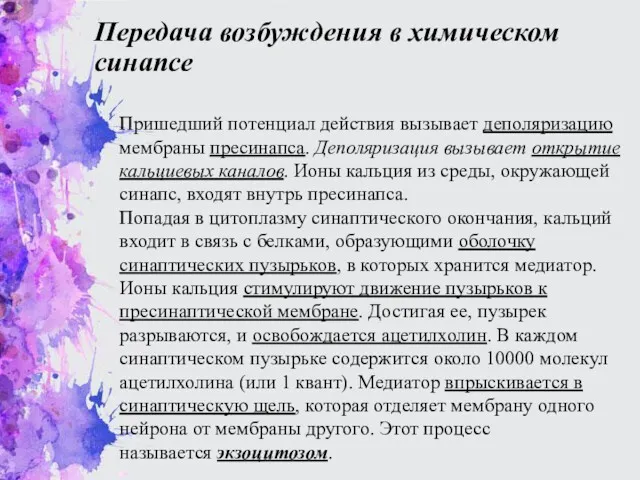 Передача возбуждения в химическом синапсе Пришедший потенциал действия вызывает деполяризацию