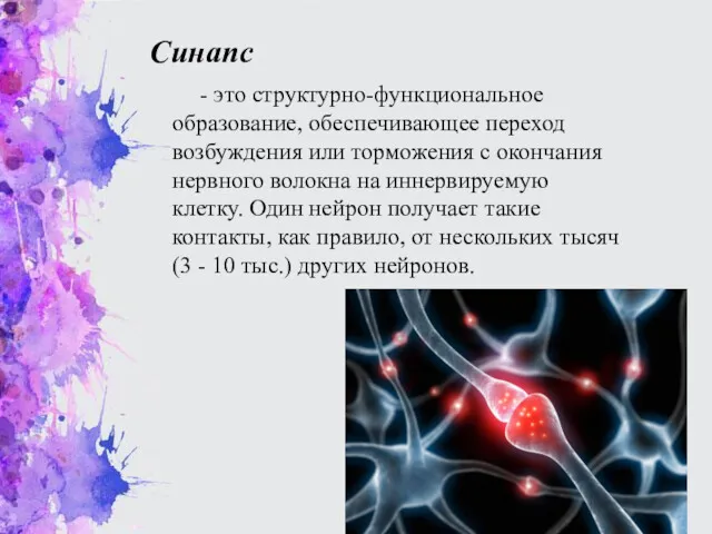 Синапс - это структурно-функциональное образование, обеспечивающее переход возбуждения или торможения