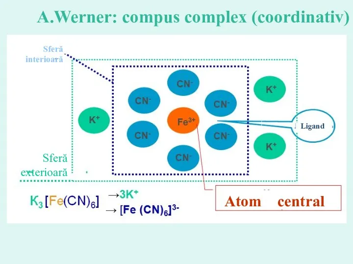 Atom central Ligand Sferă interioară Sferă exterioară A.Werner: compus complex (coordinativ)