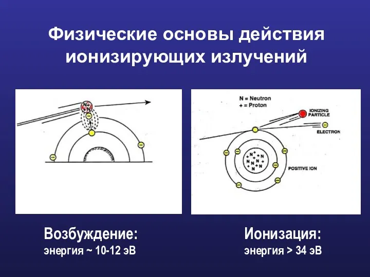 Физические основы действия ионизирующих излучений Возбуждение: энергия ~ 10-12 эВ Ионизация: энергия > 34 эВ