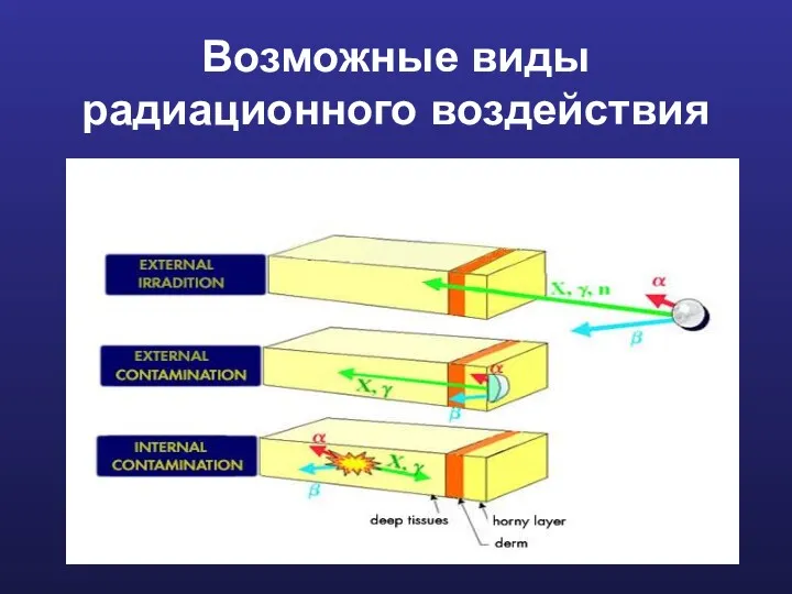 Возможные виды радиационного воздействия