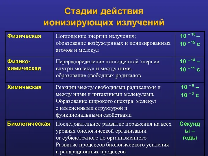 Стадии действия ионизирующих излучений