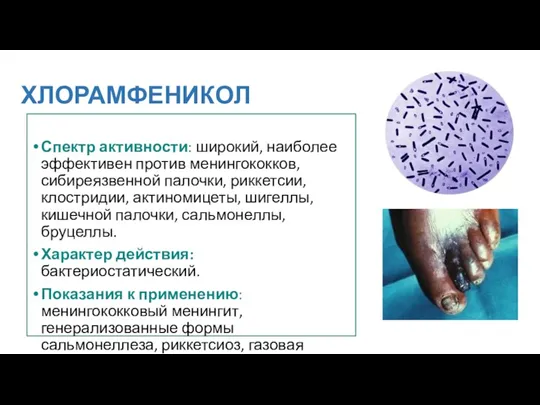 ХЛОРАМФЕНИКОЛ Спектр активности: широкий, наиболее эффективен против менингококков, сибиреязвенной палочки,