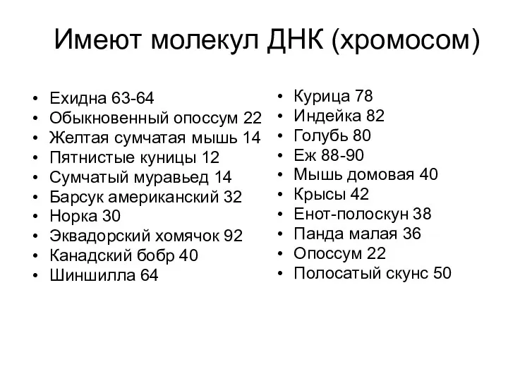 Ехидна 63-64 Обыкновенный опоссум 22 Желтая сумчатая мышь 14 Пятнистые