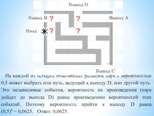 На каждой из четырех отмеченных развилок паук с вероятностью 0,5