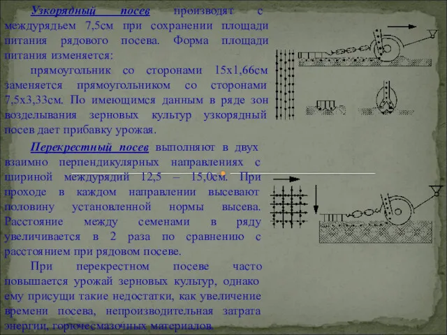 Узкорядный посев производят с междурядьем 7,5см при сохранении площади питания