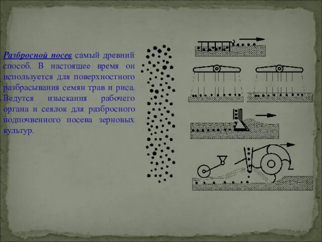 Разбросной посев самый древний способ. В настоящее время он используется