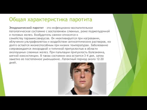 Общая характеристика паротита Эпидемический паротит – это инфекционно-воспалительное патологическое состояние