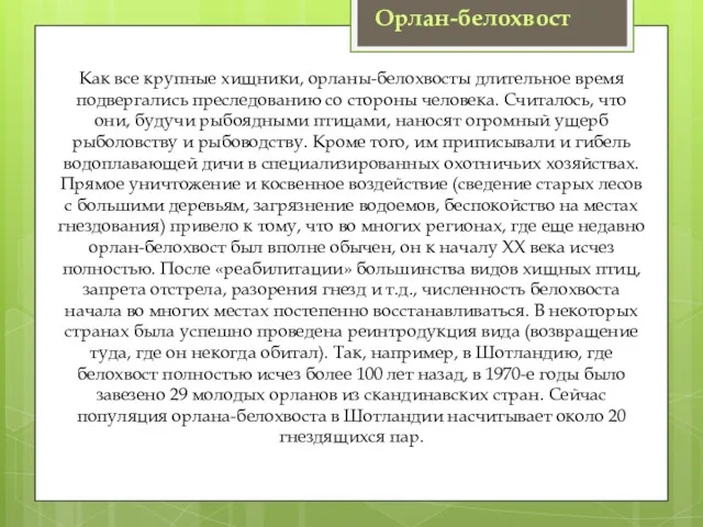 Орлан-белохвост Как все крупные хищники, орланы-белохвосты длительное время подвергались преследованию