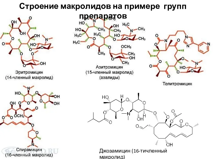 Джозамицин (16-тичленный макролид) Строение макролидов на примере групп препаратов
