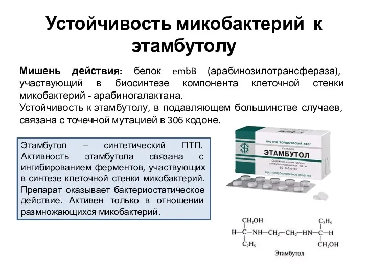 Устойчивость микобактерий к этамбутолу Мишень действия: белок embB (арабинозилотрансфераза), участвующий