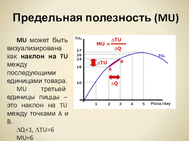 Предельная полезность (MU) MU может быть визуализирована как наклон на