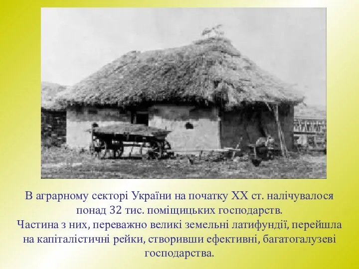 В аграрному секторі України на початку ХХ ст. налічувалося понад